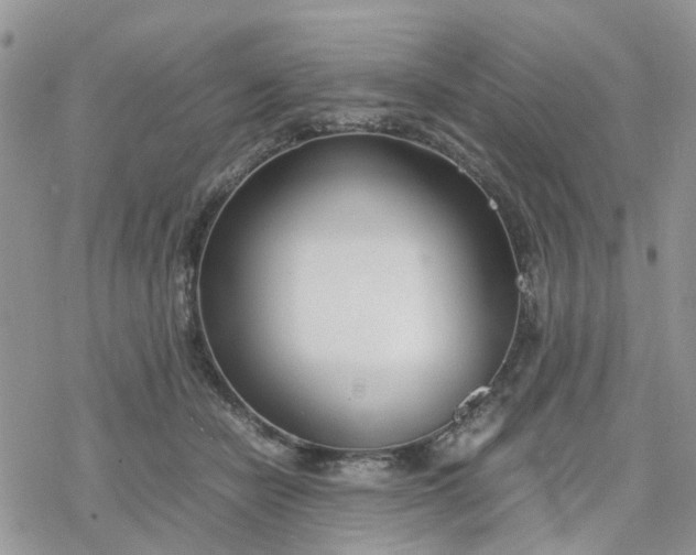 X0000078240462200611171503