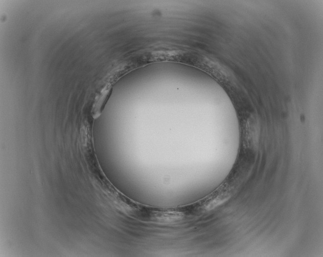 X0000078240463200611171503