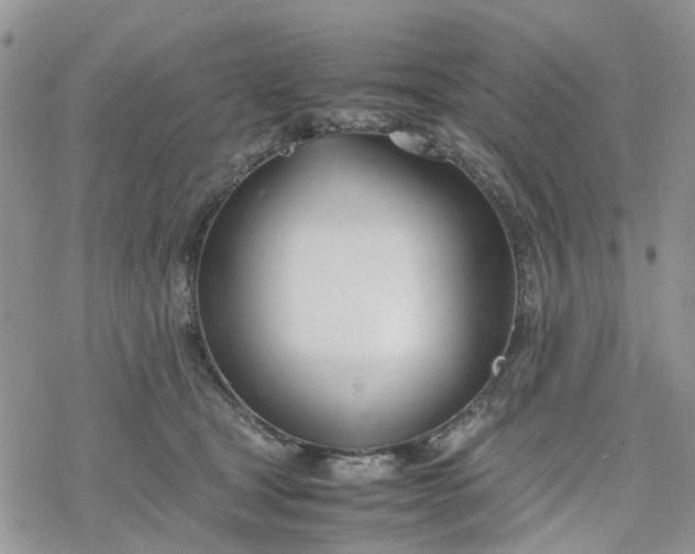 X0000078240465200611171503