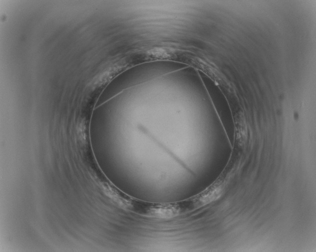 X0000078240466200611171503