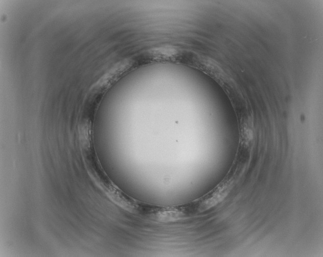 X0000078240468200611171503