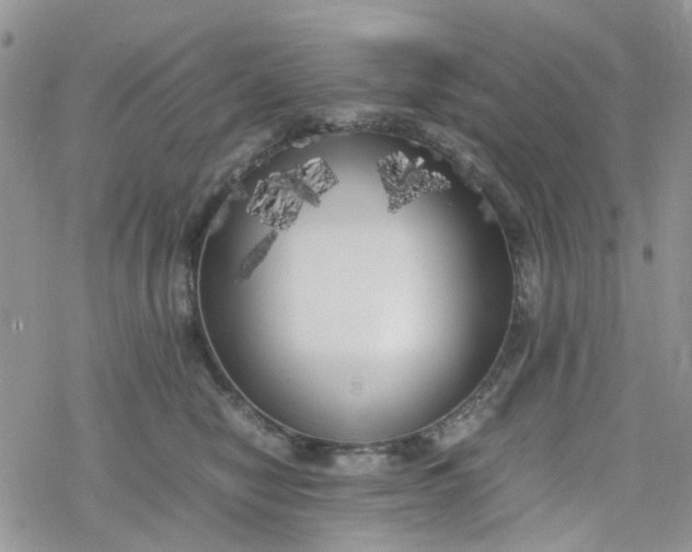 X0000078240470200611171503