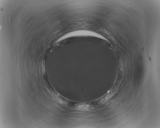 X0000078240471200611171503