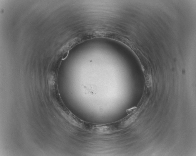 X0000078240472200611171503