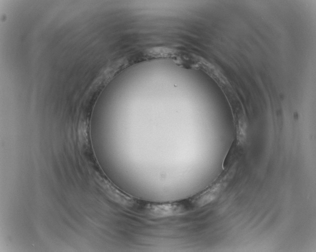 X0000078240473200611171503