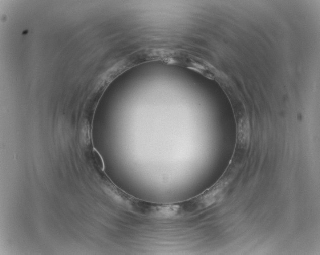 X0000078240474200611171503