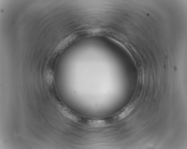 X0000078240476200611171503