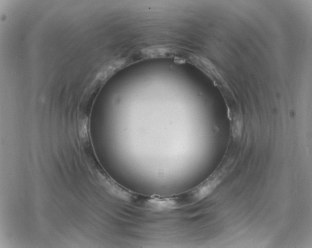 X0000078240477200611171503