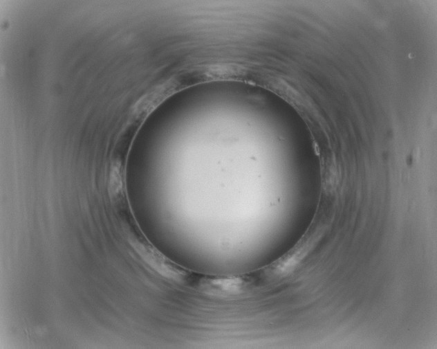 X0000078240478200611171503