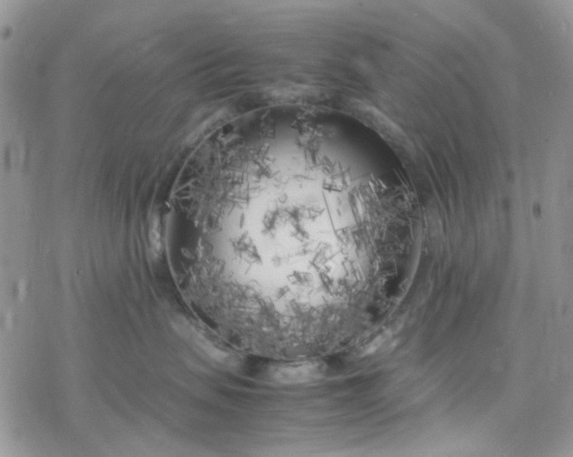 X0000078240479200611171503