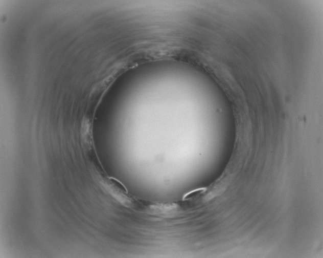 X0000078240480200611171503