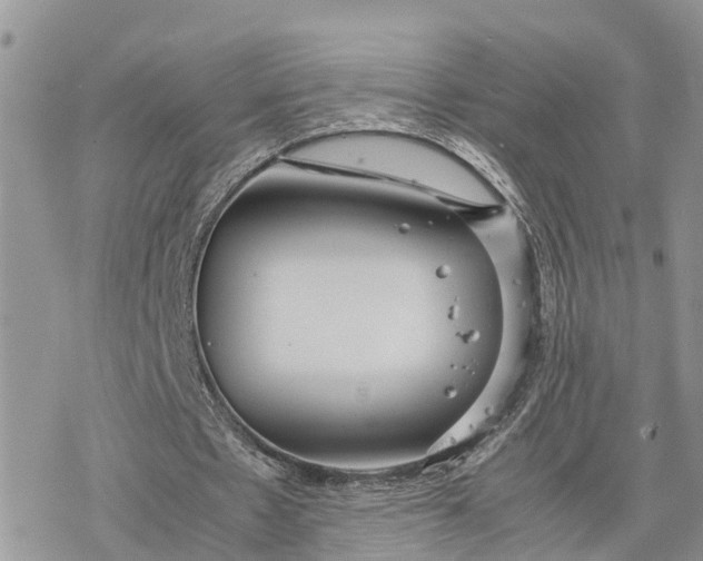 X0000078240481200611171502