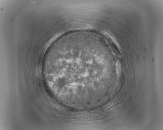 X0000078240483200611171502