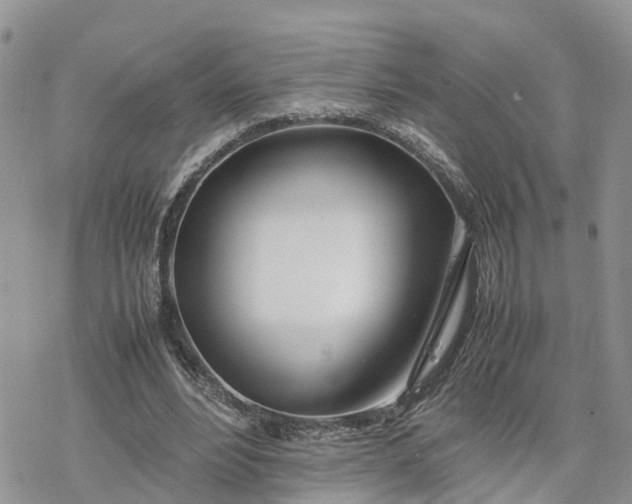 X0000078240488200611171502