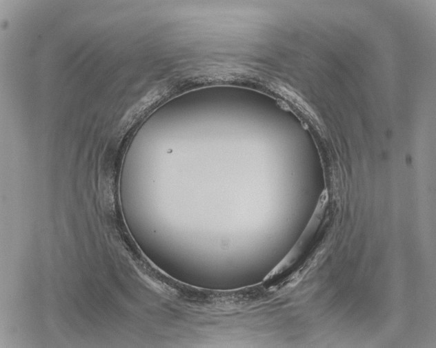 X0000078240489200611171502