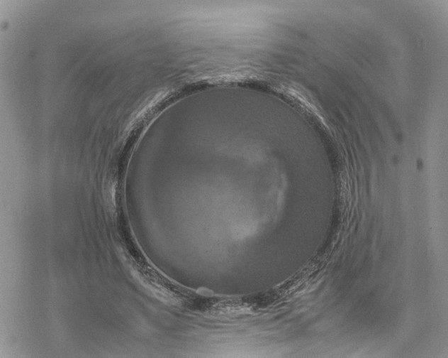 X0000078240491200611171502