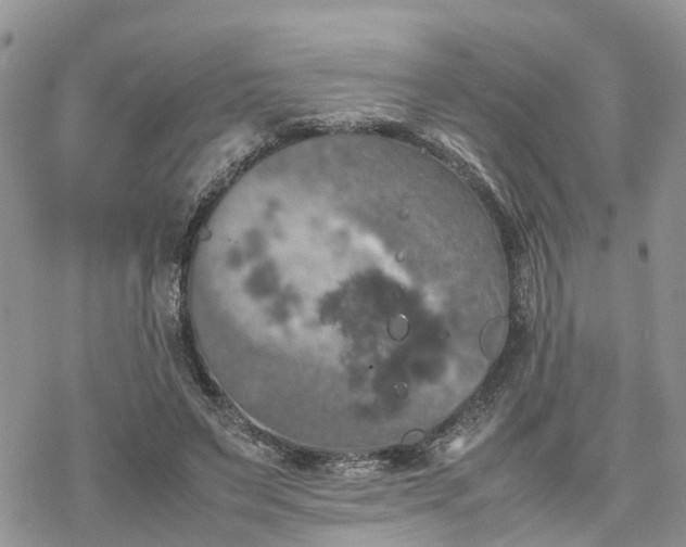 X0000078240495200611171502