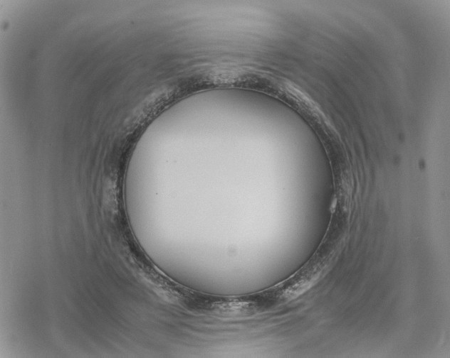 X0000078240497200611171502