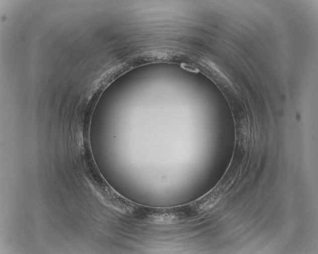 X0000078240500200611171502