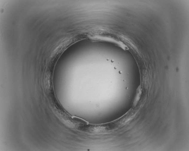 X0000078240501200611171502