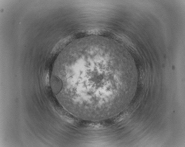 X0000078240502200611171502