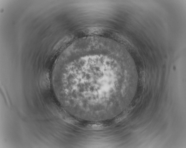 X0000078240506200611171502