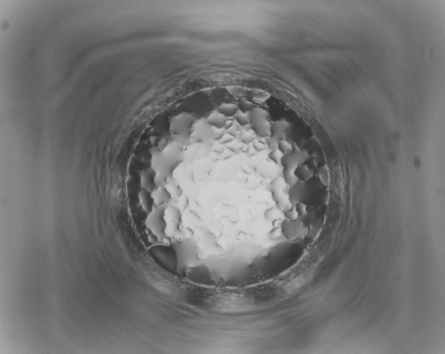 X0000078240507200611171502