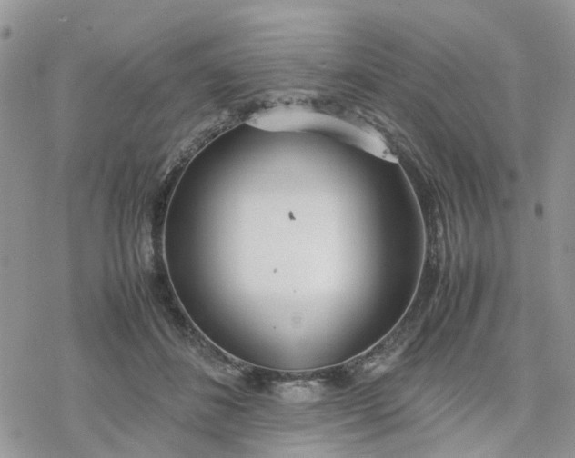 X0000078240508200611171502