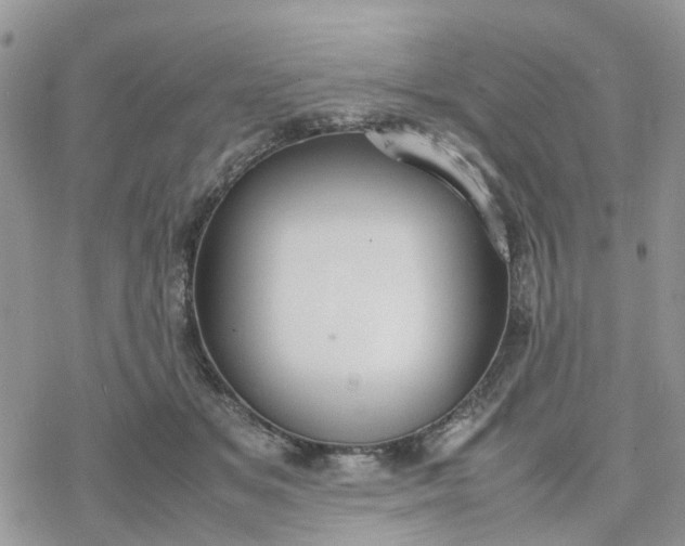 X0000078240509200611171502