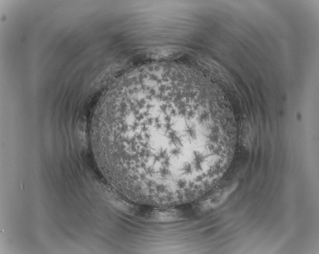 X0000078240510200611171502