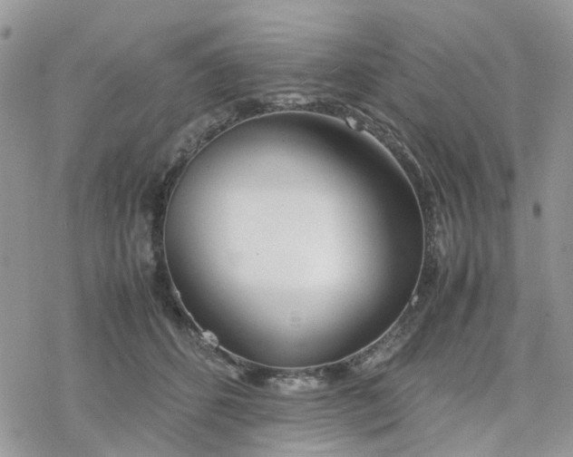 X0000078240512200611171502