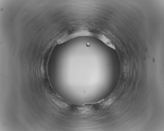 X0000078240516200611171502