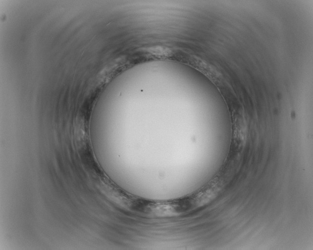 X0000078240518200611171502