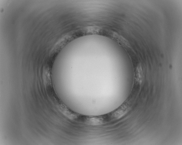 X0000078240522200611171502