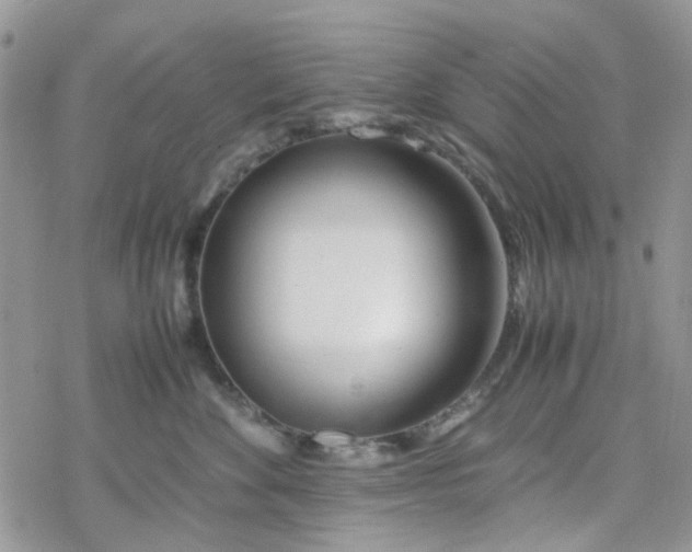 X0000078240524200611171501