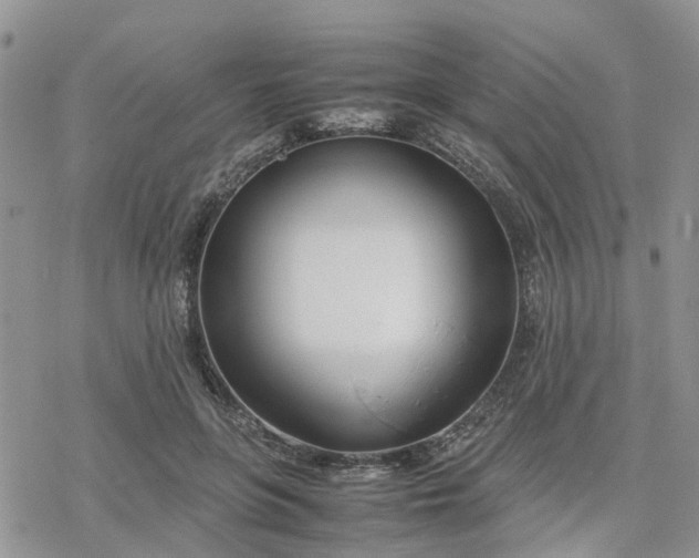 X0000078240551200611171501