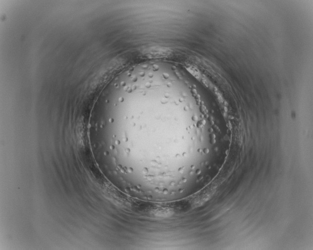 X0000078240604200611171500