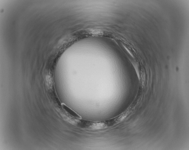 X0000078240609200611171500