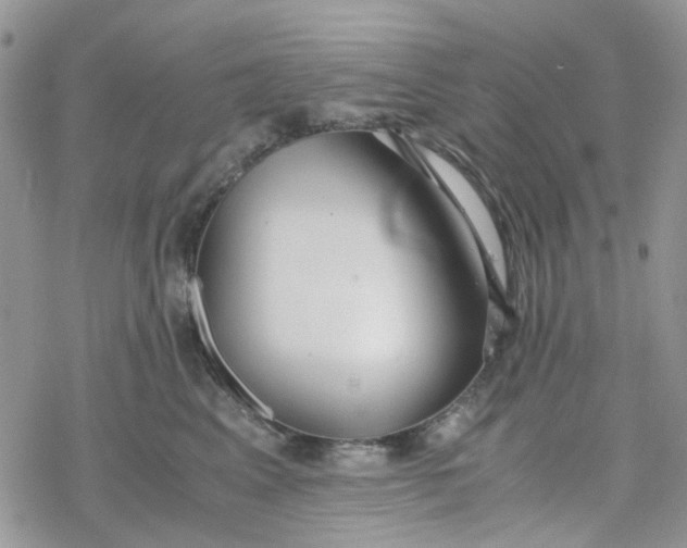 X0000078240617200611171500