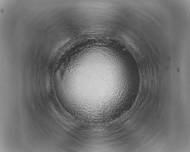 X0000078240692200611171459