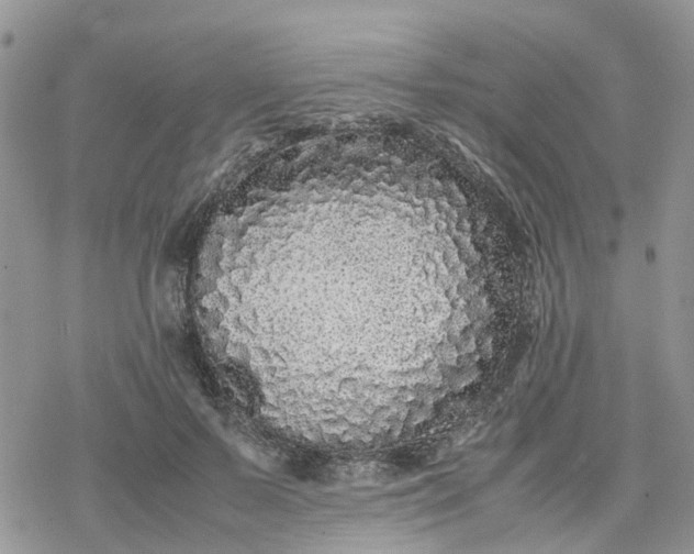 X0000078240695200611171459