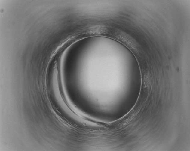 X0000078240722200611171458