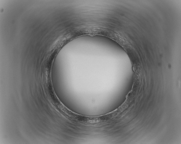 X0000078240744200611171458