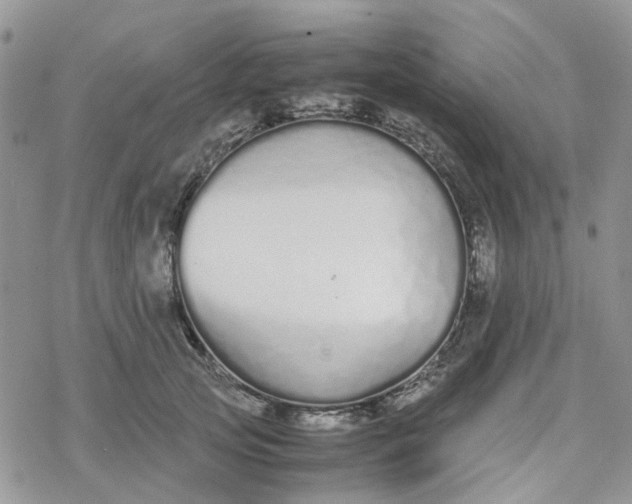 X0000078240753200611171458