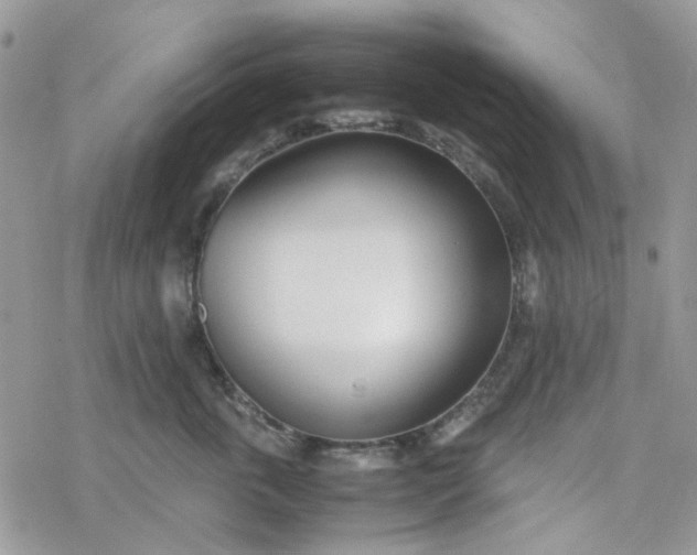 X0000078240763200611171458