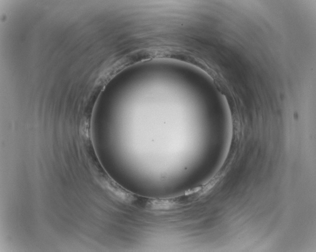 X0000078240766200611171458