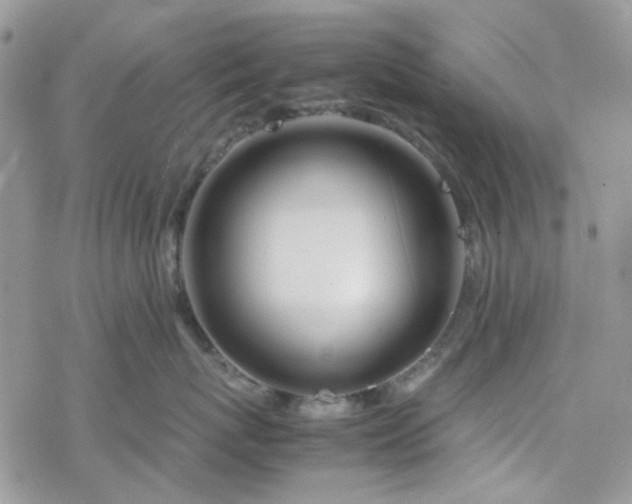 X0000078240767200611171458
