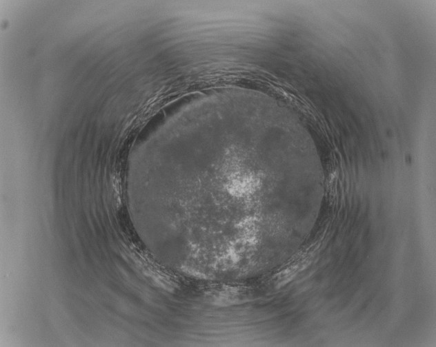 X0000078240772200611171457