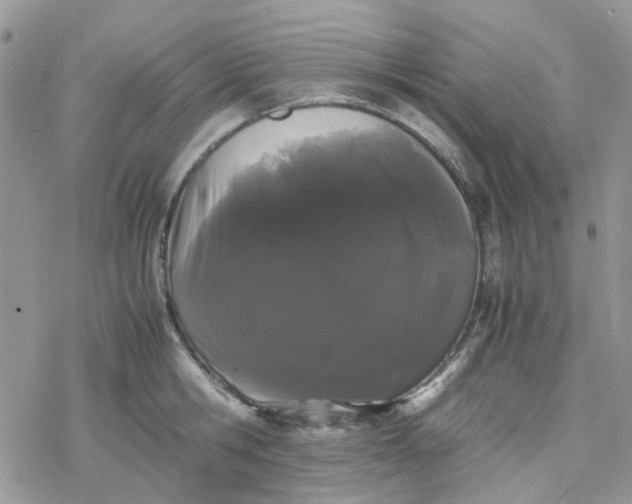 X0000078240806200611171457