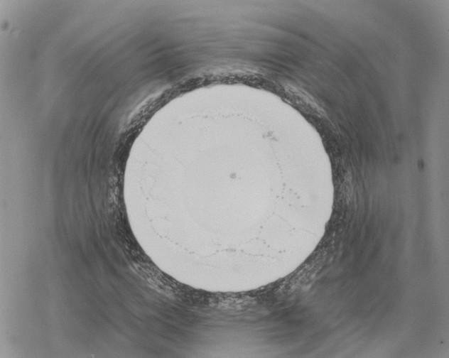 X0000078240824200611171456